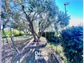 Photo numero 45133050 du bien UBI448449971